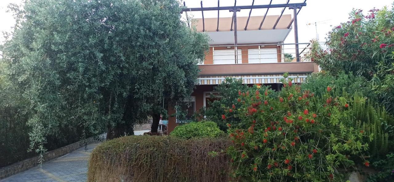 δίπλα στο κύμα -βeside The Wave Tatil Evi Loutra Elevtheron