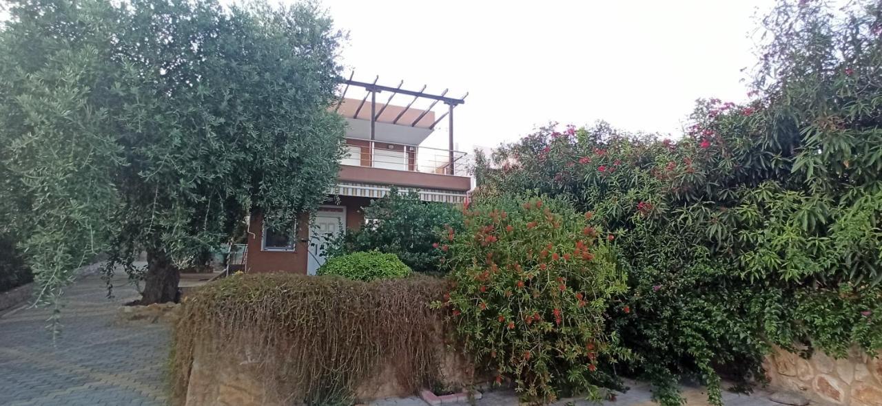 Tatil Evi δίπλα στο κύμα -βeside The Wave